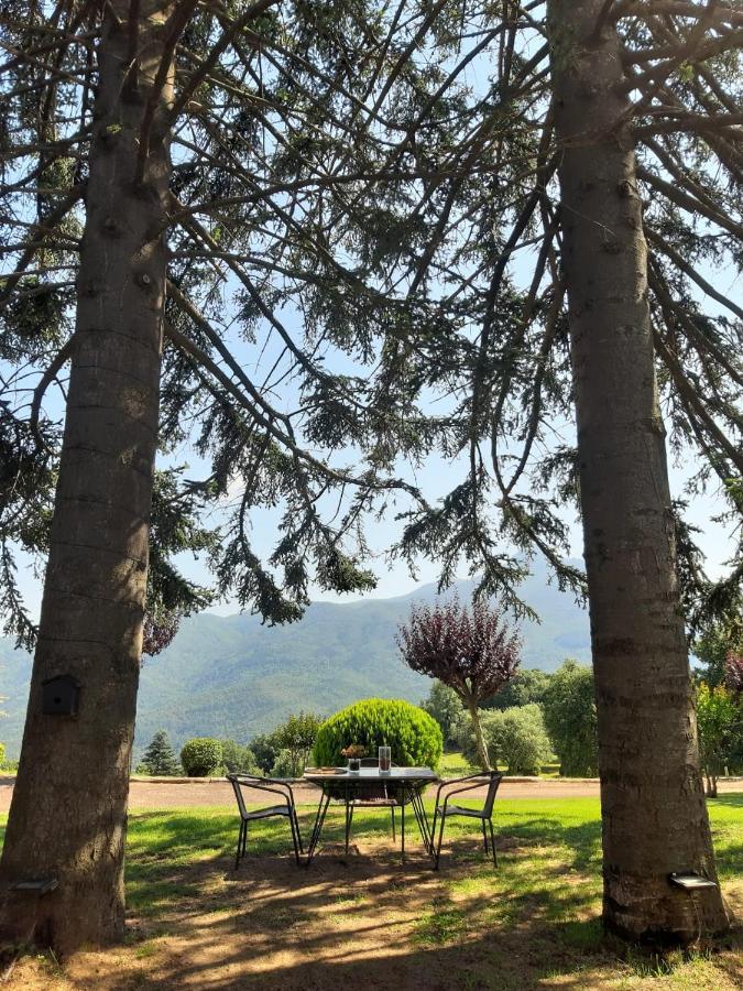 Casa Les Espelmes Villa Arbúcies Екстериор снимка